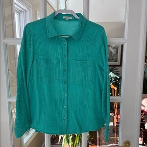 Zsupply Teal Button-Down Shirt Size L